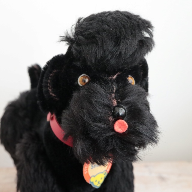 アンティーク シュタイフ プードル ブラック Steiff Snobby 22cm