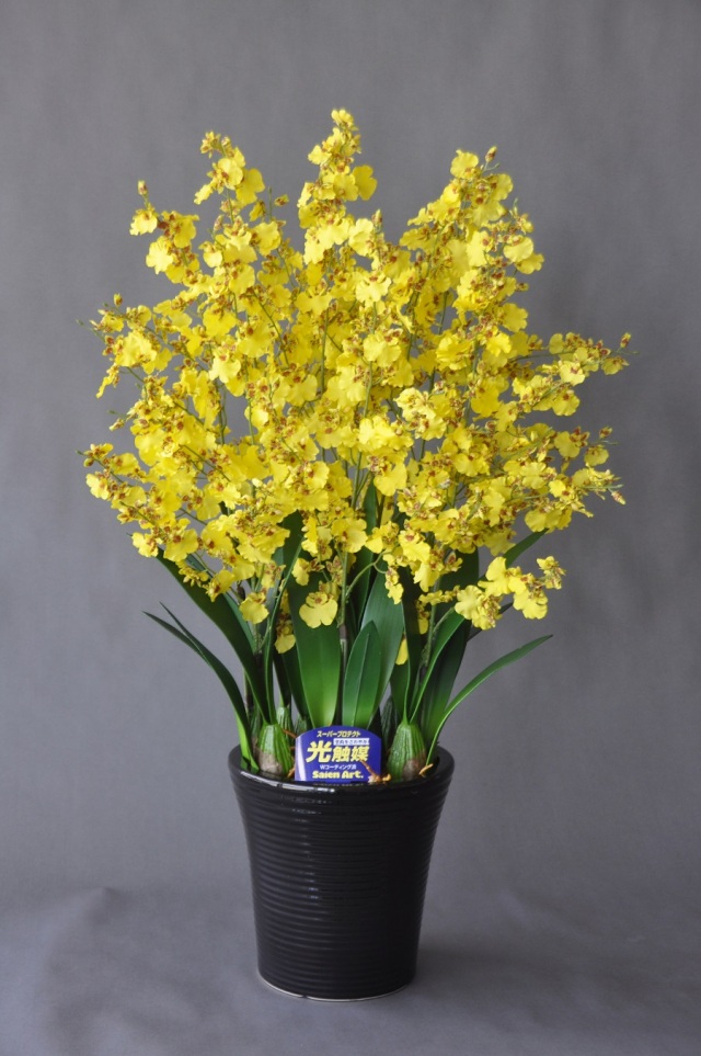 和アレンジ｜金彩ゴールド器に咲く華やぎの和花たち・通年飾れる光触媒フラワー 特価◎【直送】 【造花】光の楽園/光触媒 ゴールドストライク/43P80