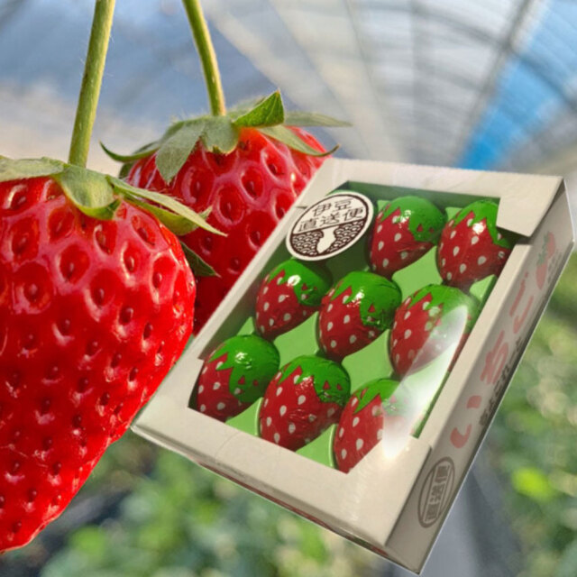 いちごちょこれーと みかんちょこれーと 9粒入り セット