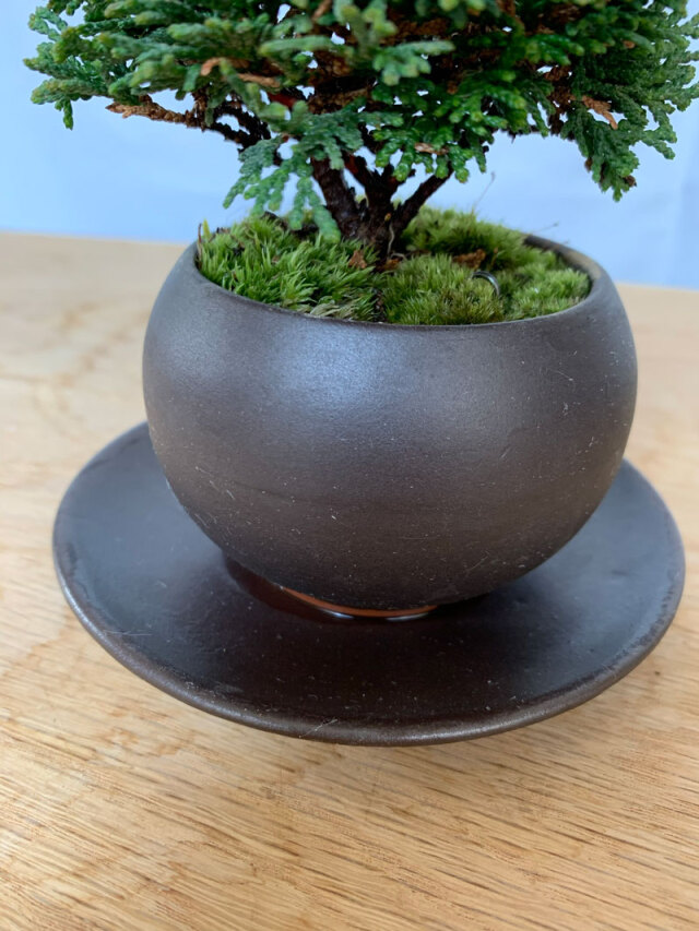 送料無料。壮大な景色をお楽しみください【連山檜（れんざんひのき）の