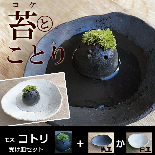 モスモスシリーズ 作家 真山茜氏【モスコトリ（黒・グレー系）・受け皿