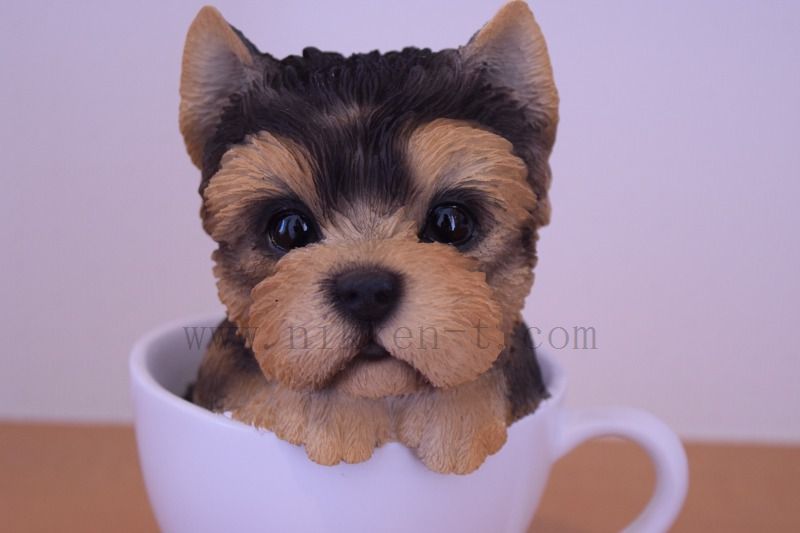 ティーカップ ヨークシャーテリア