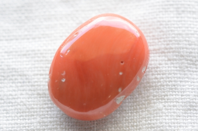 天然赤珊瑚【8】ルース・カボション （20.5×15.5mm）