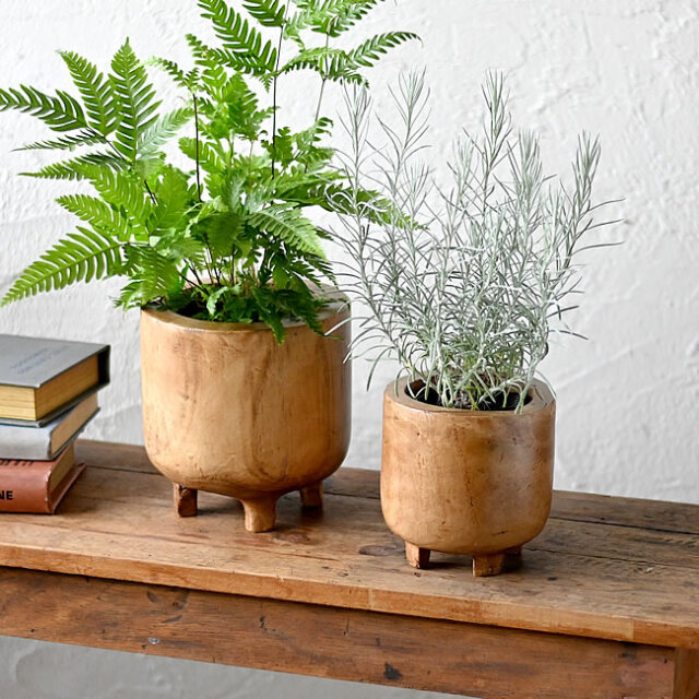 ダーシャ ウッドポット | ゼネラルストア オルネ