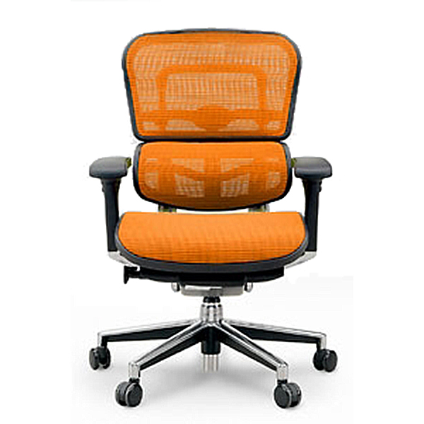 Ergohumanエルゴヒューマンベーシックロータイプ/ファブリックメッシュ