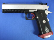 SVI エクセラレーター