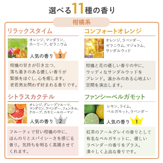 アロミックエアー 専用エッセンシャルオイル 100ml 交換パッド付