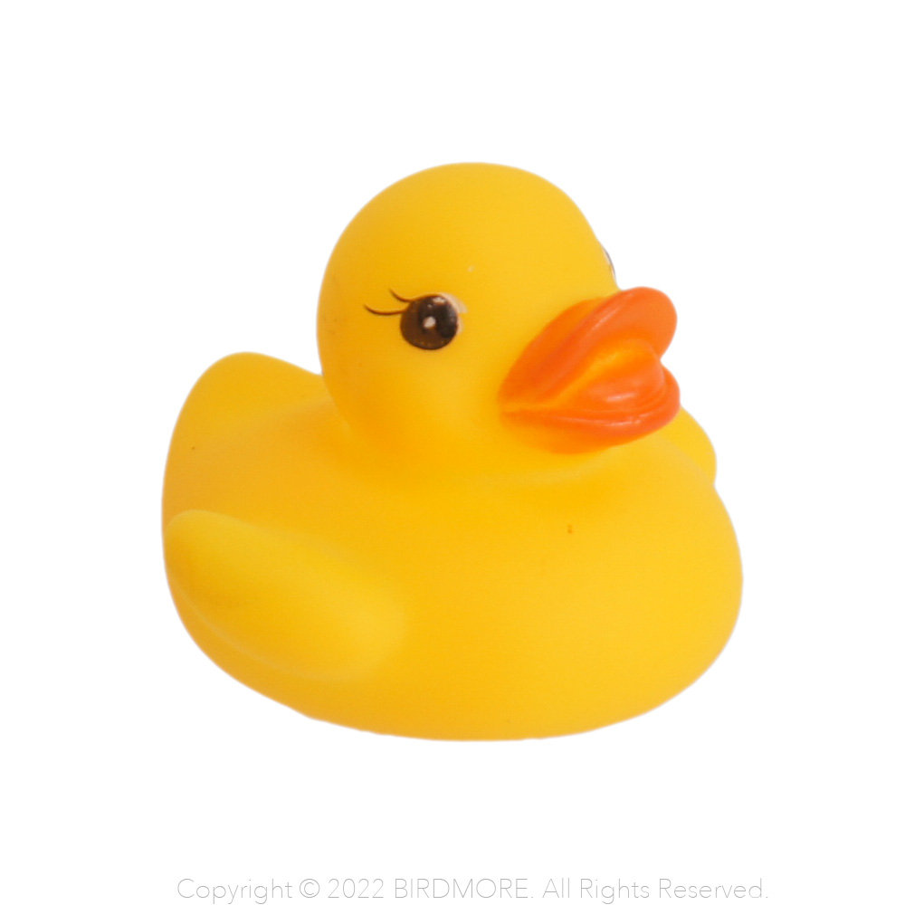 9993105【オオイシ】あひるちゃんBIG 1個 鳥専門店 BIRD MORE