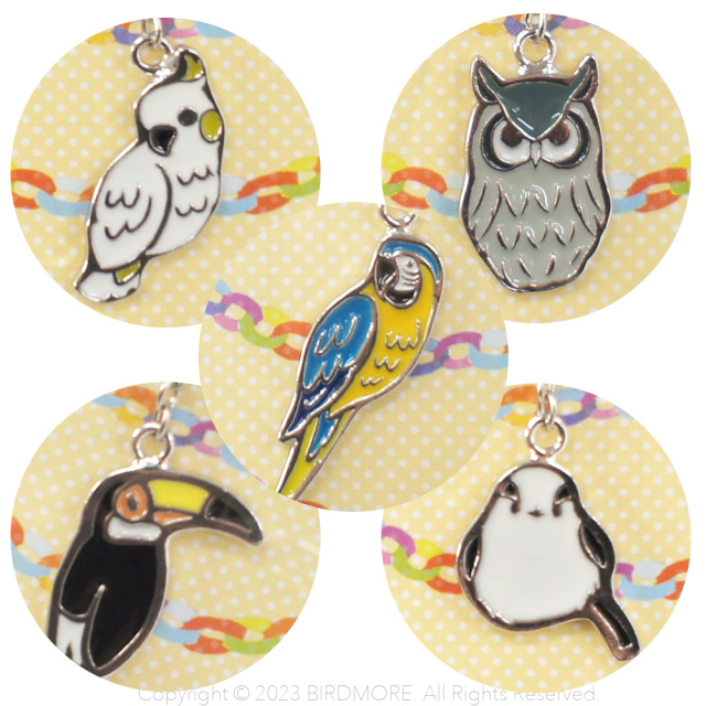 9998909【hanisupi】☆チャーム 大型他 鳥専門店 BIRD MORE