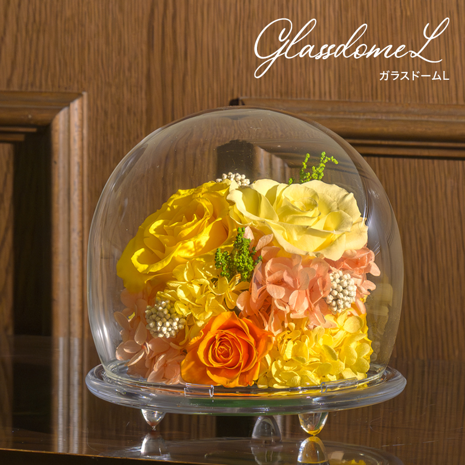 プリザーブドフラワー ガラスドームL