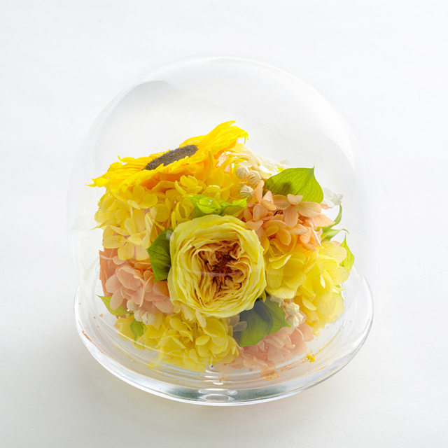 売切れ次第終了」プリザーブドフラワー ヒマワリ 向日葵 #ひまわり