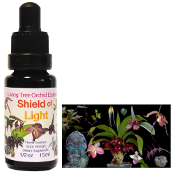 ワンサイデッドウィンターグリーン アラスカンエッセンス