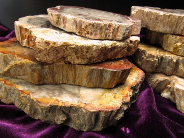 珪化木 ペトリファイドウッド プレート 置物 重さ170g-200g 神秘なる大