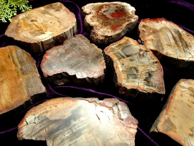 珪化木 ペトリファイドウッド プレート 置物 重さ170g-200g 神秘なる大