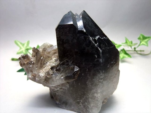 約750gあり☆チベット産 モリオン(黒水晶)クラスター 【公式通販】