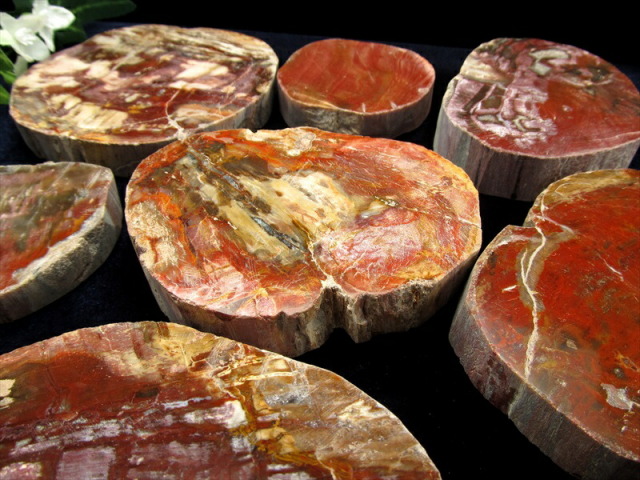 レッドタイプ 珪化木 ペトリファイドウッド プレート 置物 重さ170g