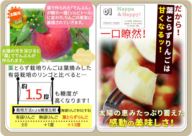 りんご の常識を変える☆葉とらず栽培 本場青森ゴールド農園 送料無料