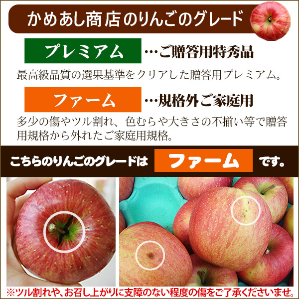 りんご の常識を変える☆葉とらず栽培 本場青森ゴールド農園 送料無料