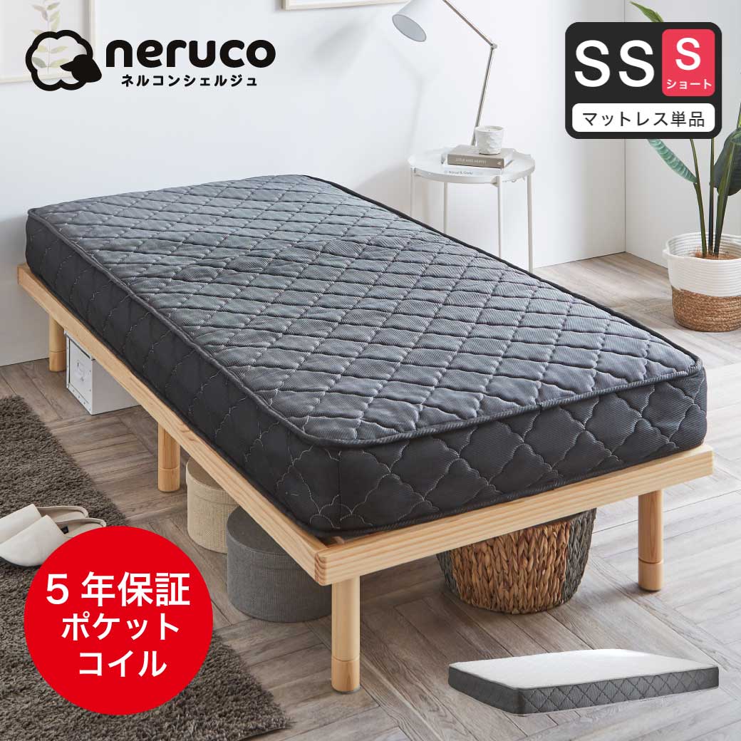 14060793.jpg?t=20240411185532