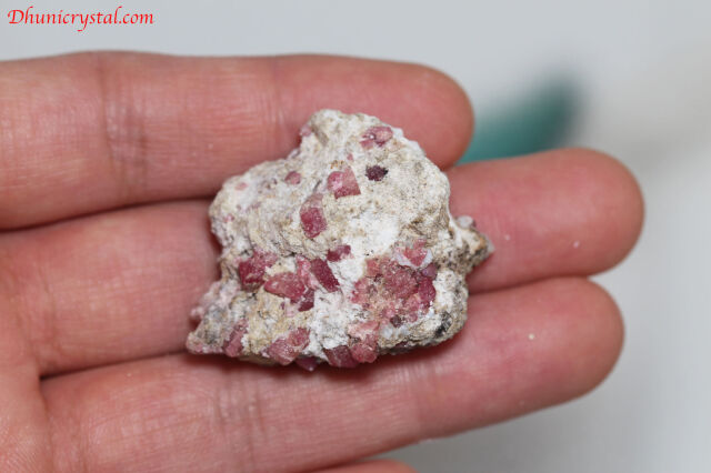 g24-3.jpg?t=20230225150108