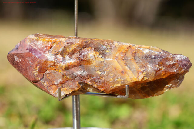 アルタイ隕石(A835)