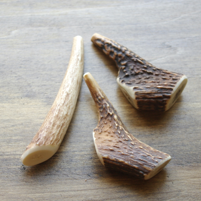 天然鹿の角 噛むおもちゃ 【高知産】