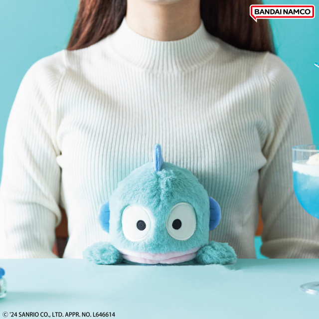 ふんばるず サンリオキャラクターズ ハンギョドン | ドリームズ公式