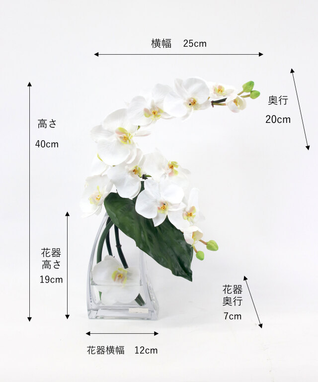 胡蝶蘭(ファレノプシスL) アーティフィシャルフラワー ギフト