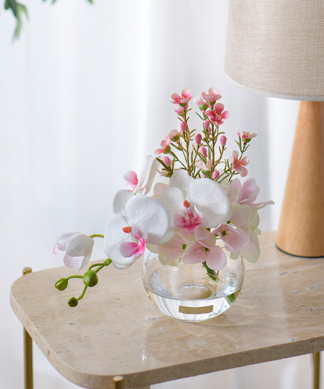 ファレノプシスリップピンクS 胡蝶蘭 高品質 ギフト プレゼント お祝い