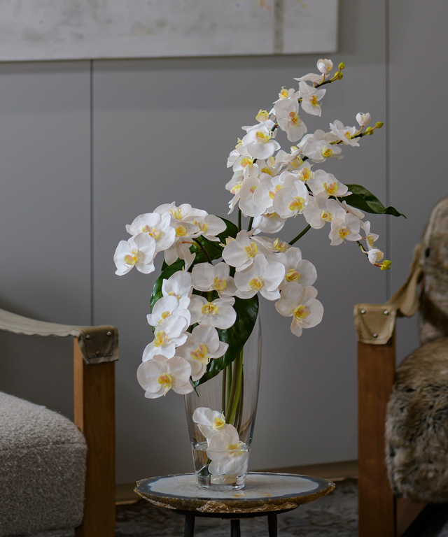 胡蝶蘭(ファレノプシス)のアートフラワー特集|エミリオ・ロバ公式