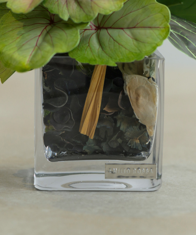 観葉植物 ゼラニウム＆アオエニウムポプリSS24 アーティフィシャル