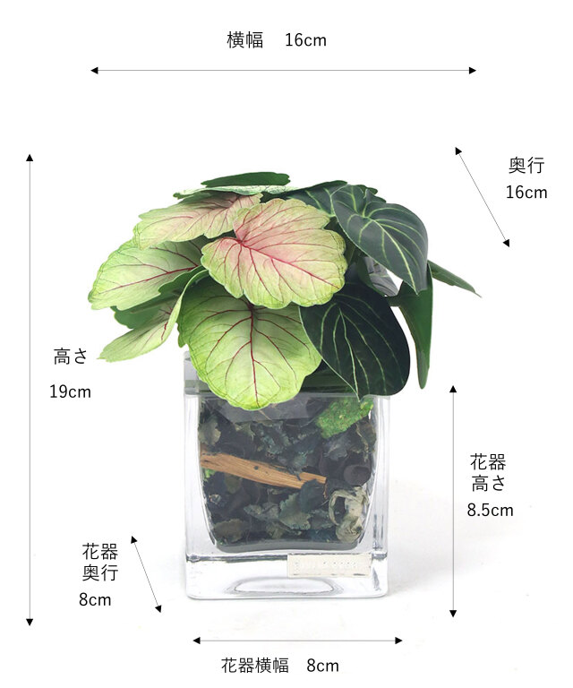 観葉植物 ゼラニウム＆アオエニウムポプリSS24 アーティフィシャル