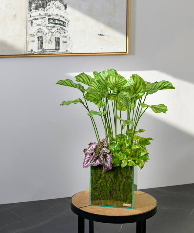 TTTTP06600_3.jpg?t=20211206151206