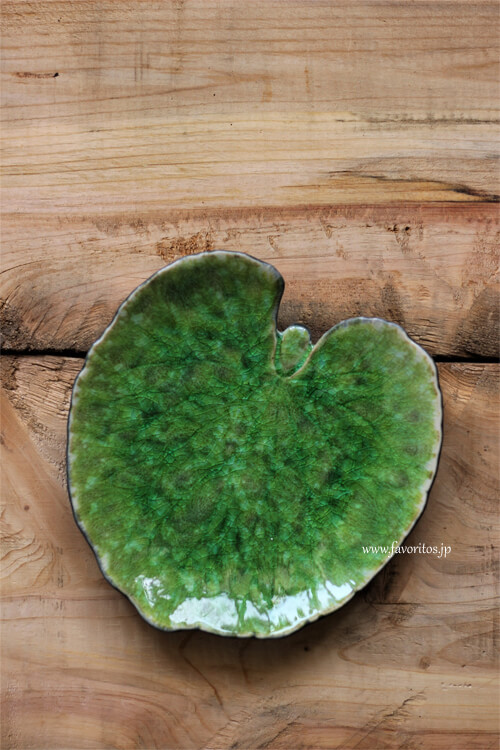 COSTA NOVA（コスタノバ） ｜RIVIERA（リヴィエラ） アルケミルリーフ