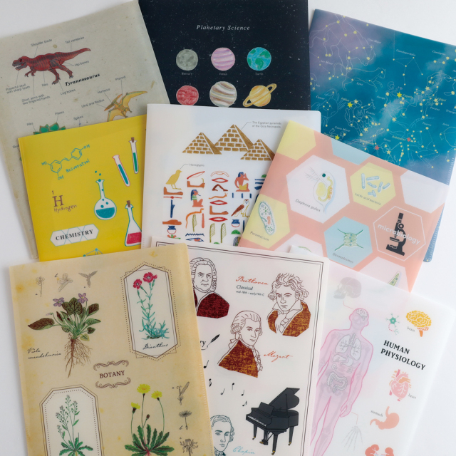 AKB0048 クリアファイル クリアファイル - アソビストア