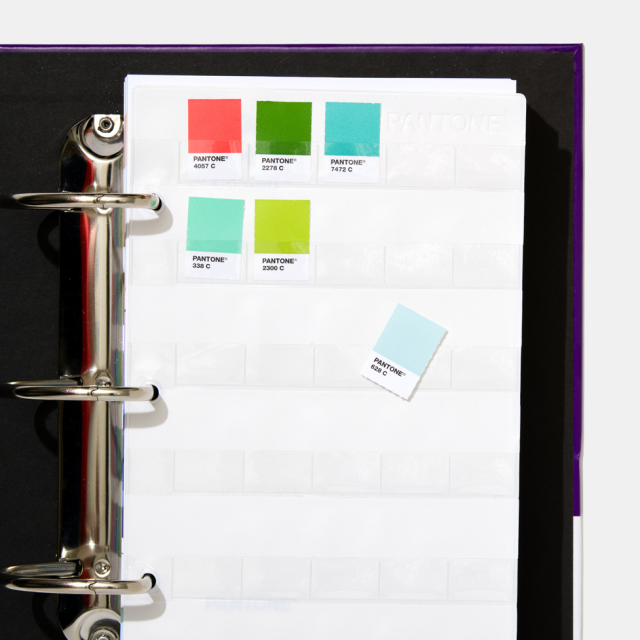 PANTONE（パントン）ソリッドチップス/2冊組(コート紙、上質紙)