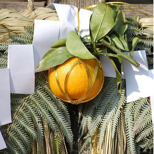 関西風手作りしめ縄】 Lサイズ ☆【大きな観葉植物専門店 ガーデン