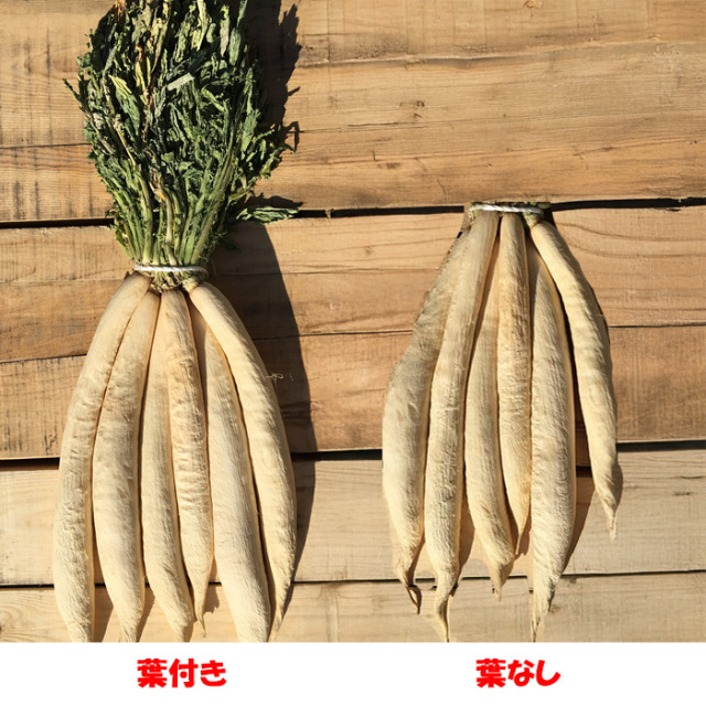 赤城おろし 葉なし干し大根 12Kg たくあん用大根・ぬか無し【同梱不可
