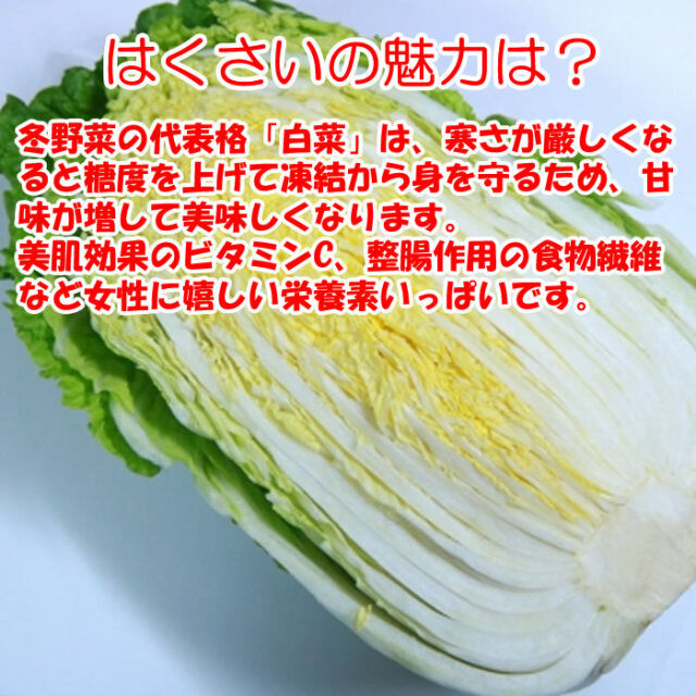 はくさい Lサイズ 4玉 1.8kg以上／玉×4 箱売り【送料別 常温発送