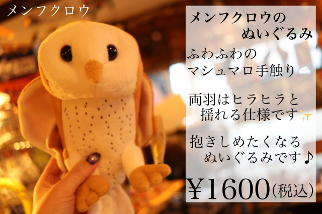 TGVM1045.JPG?t=20221219173339