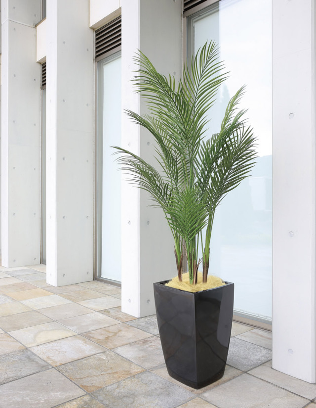 光触媒 光の楽園 アーバンアレカパーム1.7m(ポリ製)【インテリア