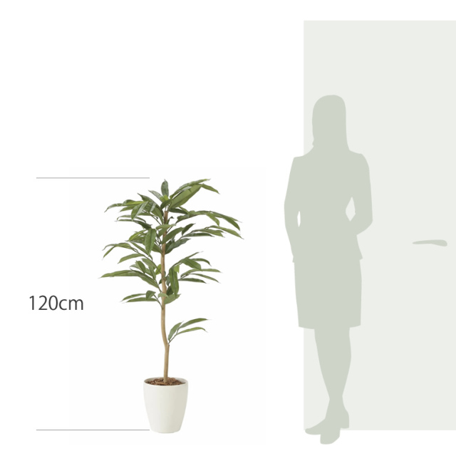 光触媒 光の楽園 アムステラバーキング 1.2m【インテリア フェイク