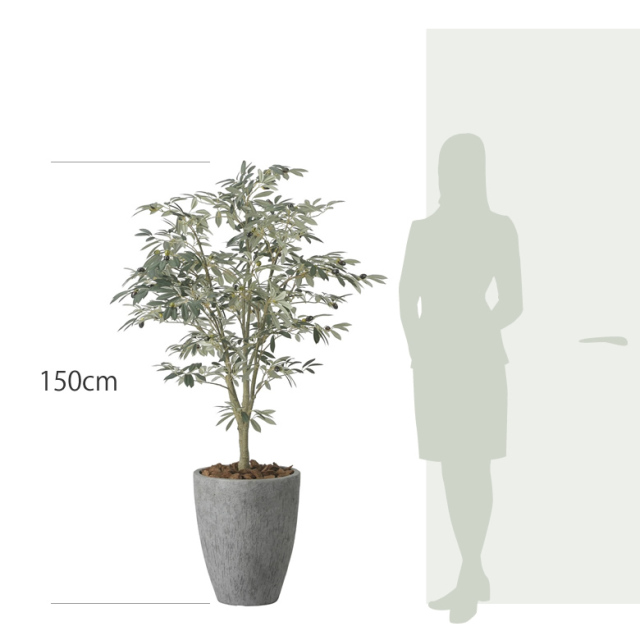 item_size_2423a600.jpg?t=