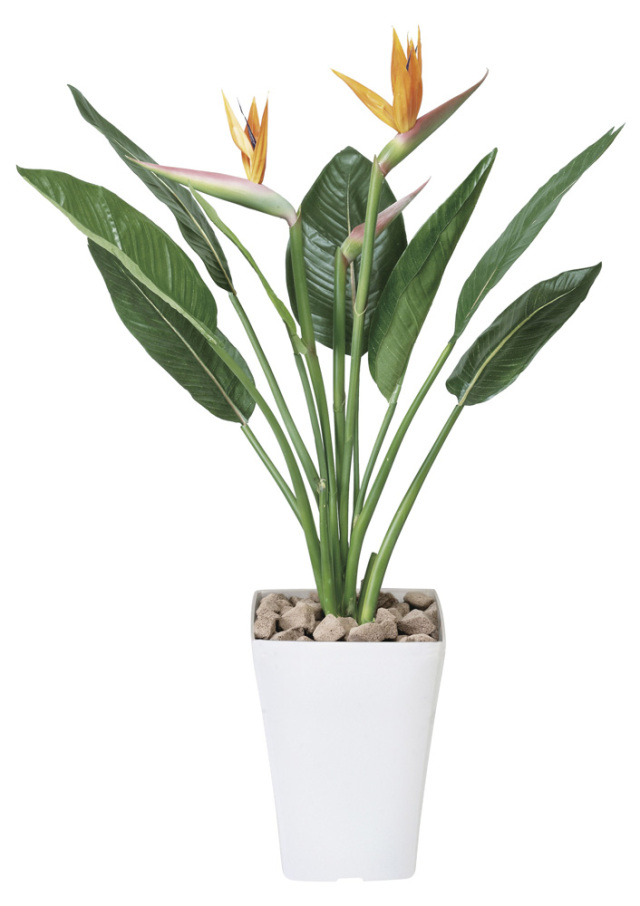 光触媒 光の楽園 幸福ノ木S【インテリア フェイクグリーン 人工観葉