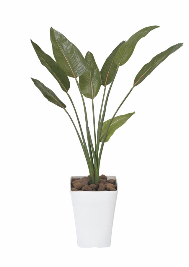 光触媒 光の楽園 ストレチア 1.1m【インテリア フェイクグリーン 人工