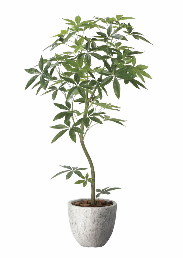 光触媒 光の楽園 ナチュラルパキラ1.6m【インテリア フェイクグリーン