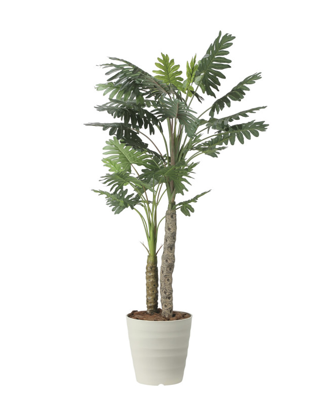 光触媒 光の楽園 ウッドボックスウンベラータW1.8m【インテリア