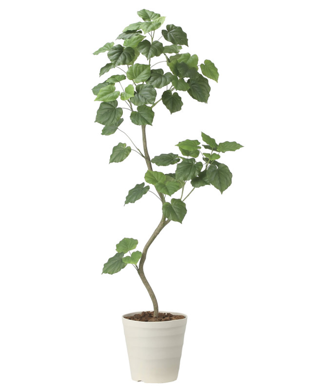 光触媒 人工観葉植物 ウンベラータ【光の楽園】