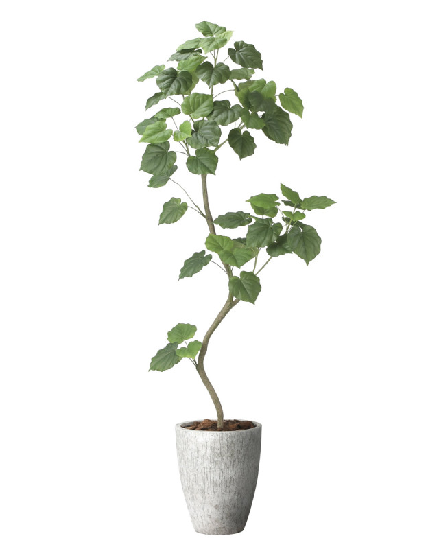 光触媒 人工観葉植物 ウンベラータ【光の楽園】