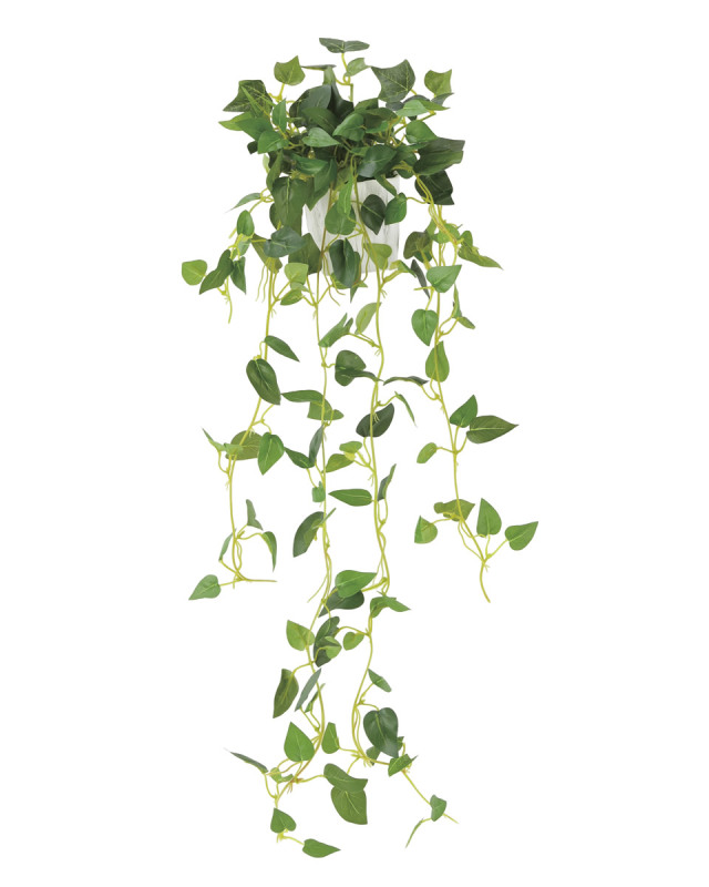 光触媒 光の楽園 壁掛けウッドボックス【インテリアグリーン 人工観葉